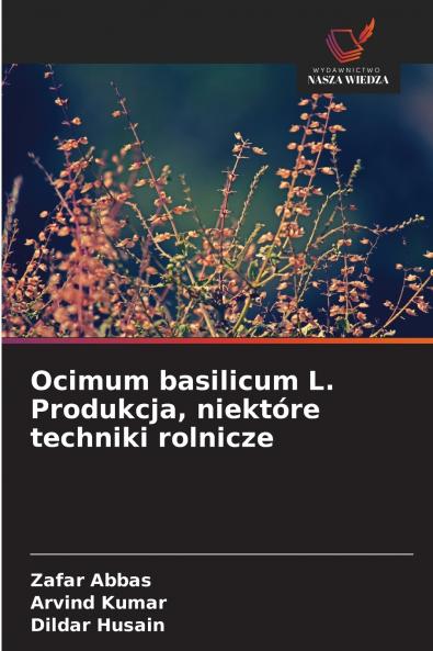 Ocimum basilicum L. Produkcja niektóre techniki rolnicze
