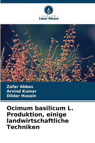 Ocimum basilicum L. Produktion einige landwirtschaftliche Techniken