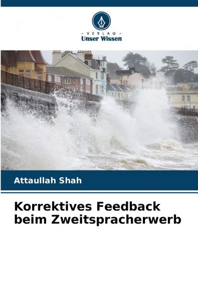 Korrektives Feedback beim Zweitspracherwerb