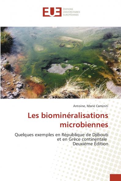 Les biominéralisations microbiennes