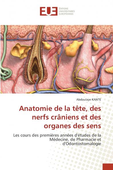 Anatomie de la tête des nerfs crâniens et des organes des sens