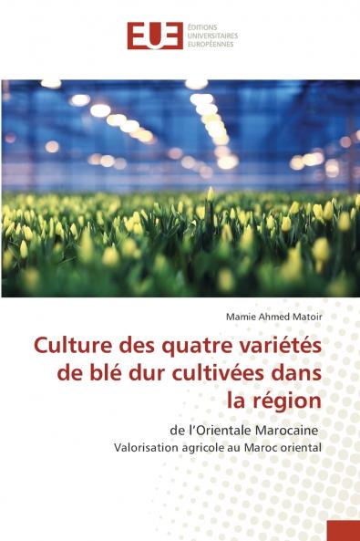 Culture des quatre variétés de blé dur cultivées dans la région