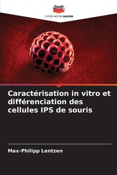 Caractérisation in vitro et différenciation des cellules IPS de souris