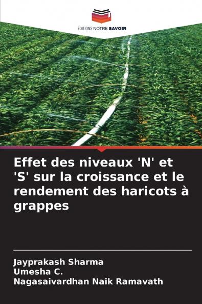 Effet des niveaux 'N' et 'S' sur la croissance et le rendement des haricots à grappes