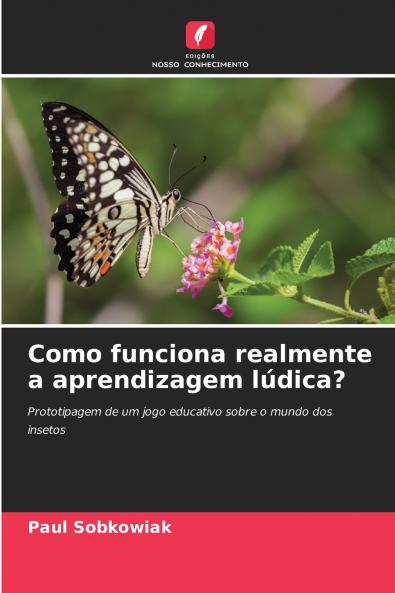 Como funciona realmente a aprendizagem lúdica?