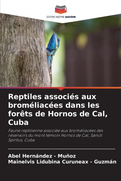 Reptiles associés aux broméliacées dans les forêts de Hornos de Cal Cuba