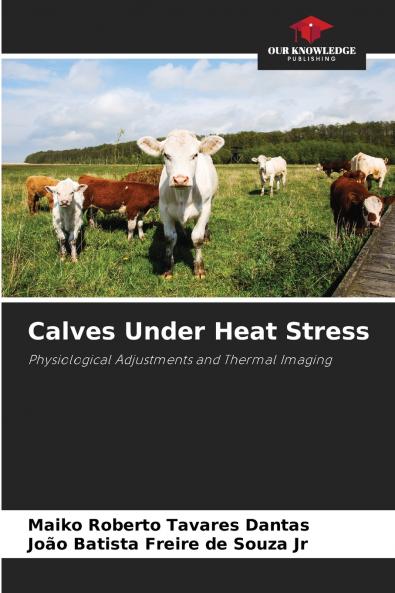 Calves Under Heat Stress