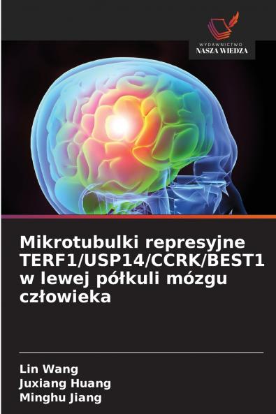 Mikrotubulki represyjne TERF1/USP14/CCRK/BEST1 w lewej półkuli mózgu człowieka