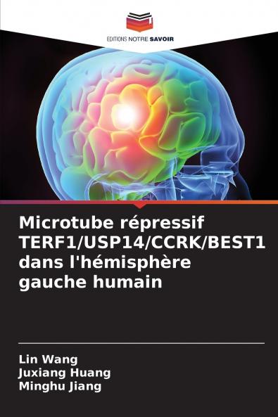 Microtube répressif TERF1/USP14/CCRK/BEST1 dans l'hémisphère gauche humain