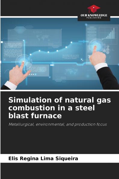 Simulation of natural gas combustion in a steel blast furnace