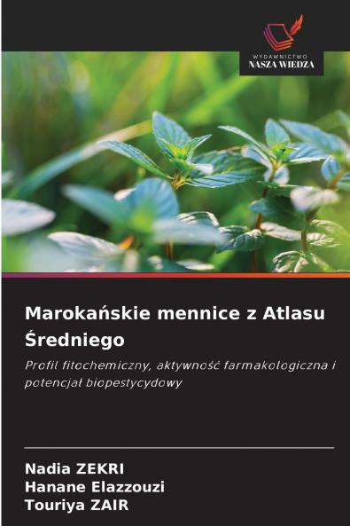 Marokańskie mennice z Atlasu Średniego