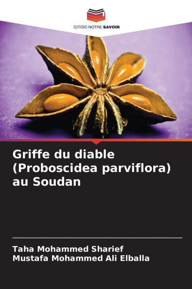 Griffe du diable (Proboscidea parviflora) au Soudan