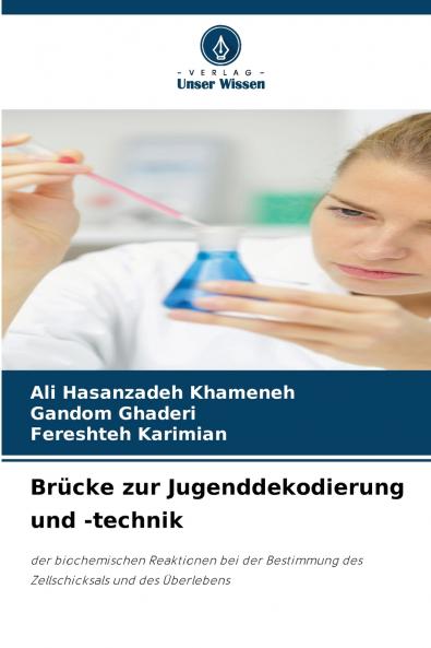 Brücke zur Jugenddekodierung und -technik