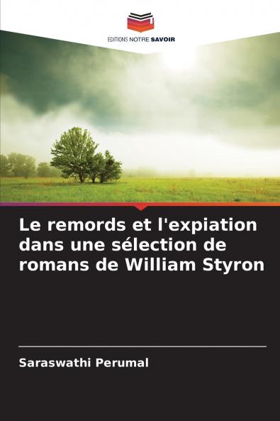 Le remords et l'expiation dans une sélection de romans de William Styron