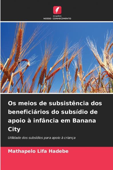 Os meios de subsistência dos beneficiários do subsídio de apoio à infância em Banana City