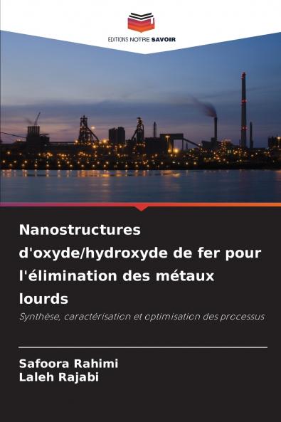 Nanostructures d'oxyde/hydroxyde de fer pour l'élimination des métaux lourds
