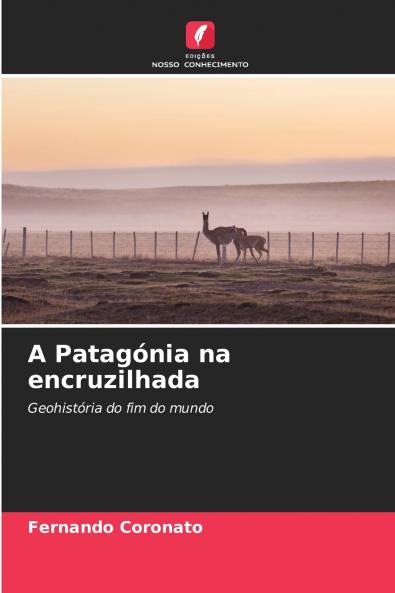 A Patagónia na encruzilhada