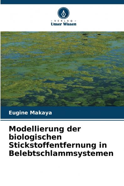 Modellierung der biologischen Stickstoffentfernung in Belebtschlammsystemen