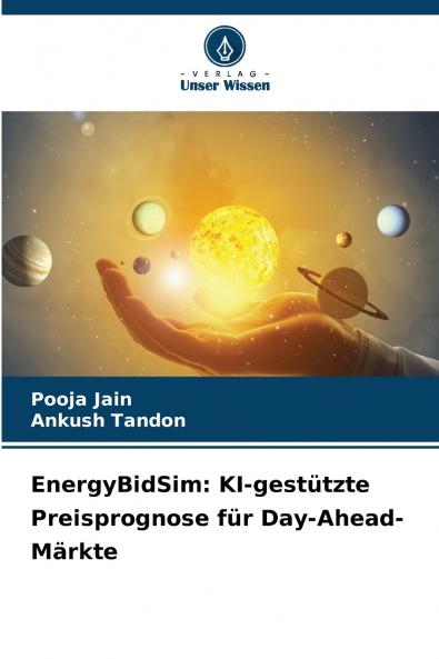 EnergyBidSim