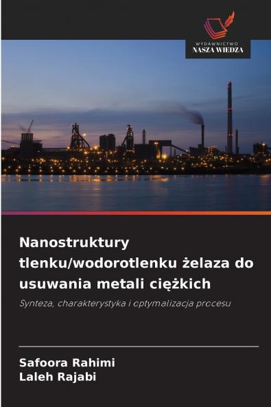 Nanostruktury tlenku/wodorotlenku żelaza do usuwania metali ciężkich