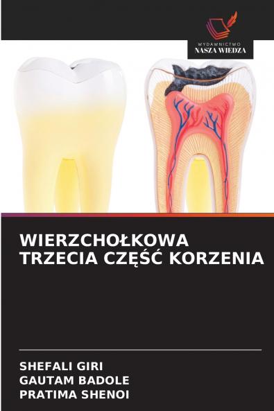 WIERZCHOŁKOWA TRZECIA CZĘŚĆ KORZENIA