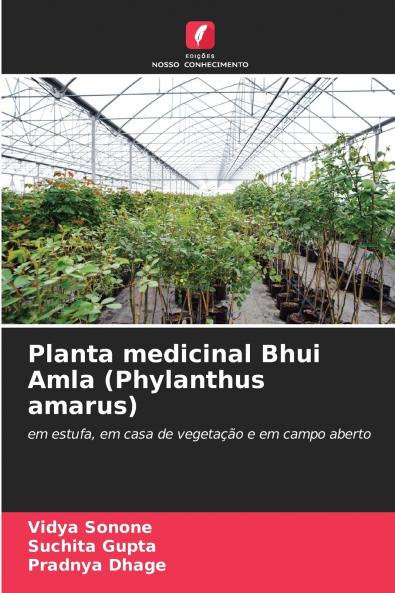 Planta medicinal Bhui Amla (Phylanthus amarus)