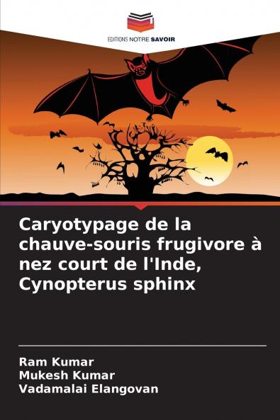 Caryotypage de la chauve-souris frugivore à nez court de l'Inde Cynopterus sphinx