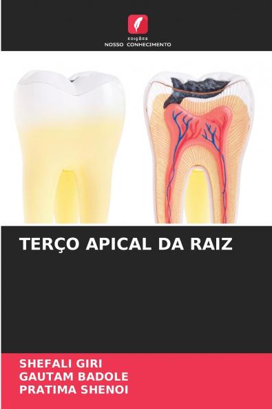 TERÇO APICAL DA RAIZ