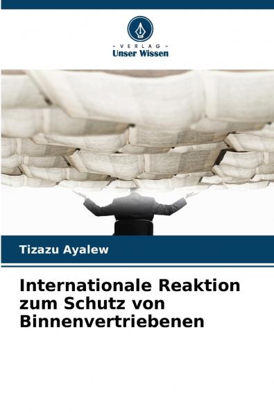 Internationale Reaktion zum Schutz von Binnenvertriebenen