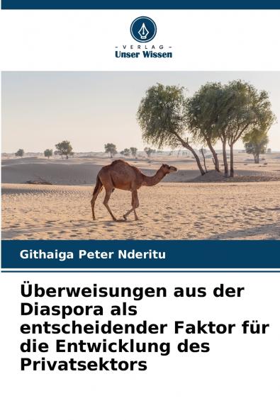 Überweisungen aus der Diaspora als entscheidender Faktor für die Entwicklung des Privatsektors