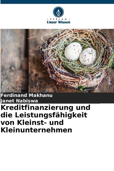 Kreditfinanzierung und die Leistungsfähigkeit von Kleinst- und Kleinunternehmen