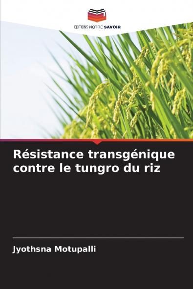Résistance transgénique contre le tungro du riz