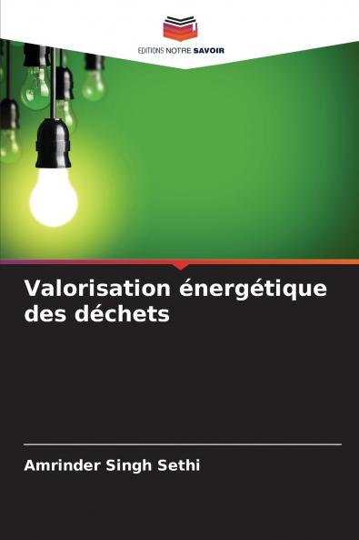 Valorisation énergétique des déchets