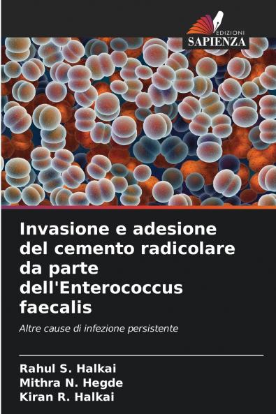 Invasione e adesione del cemento radicolare da parte dell'Enterococcus faecalis