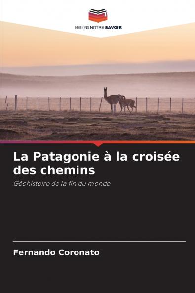 La Patagonie à la croisée des chemins