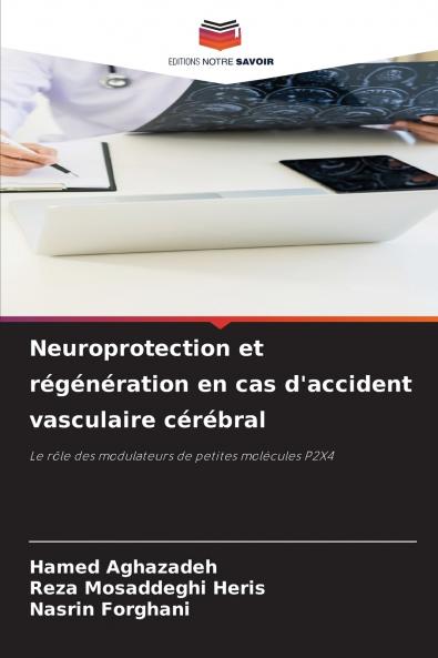 Neuroprotection et régénération en cas d'accident vasculaire cérébral