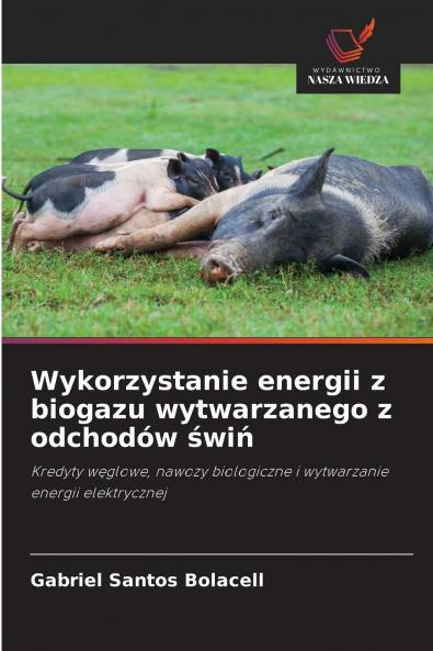 Wykorzystanie energii z biogazu wytwarzanego z odchodów świń