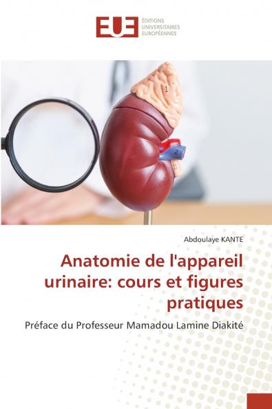 Anatomie de l'appareil urinaire