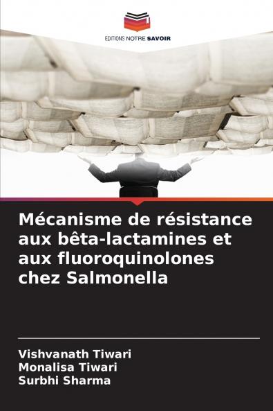 Mécanisme de résistance aux bêta-lactamines et aux fluoroquinolones chez Salmonella