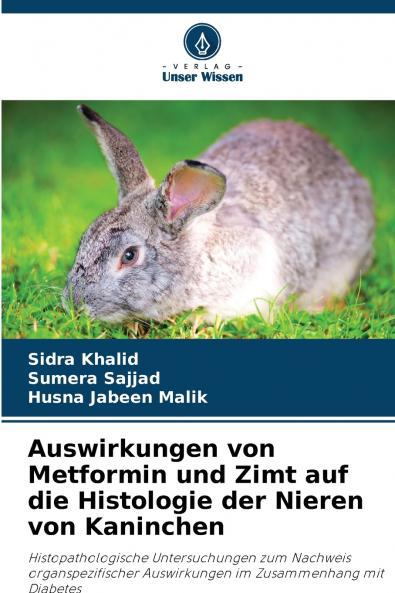 Auswirkungen von Metformin und Zimt auf die Histologie der Nieren von Kaninchen