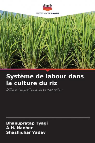 Système de labour dans la culture du riz