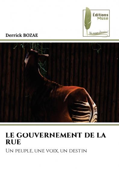LE GOUVERNEMENT DE LA RUE