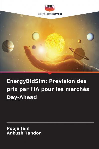 EnergyBidSim