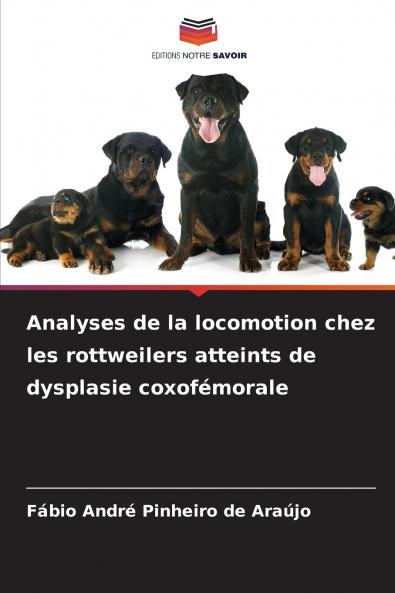 Analyses de la locomotion chez les rottweilers atteints de dysplasie coxofémorale