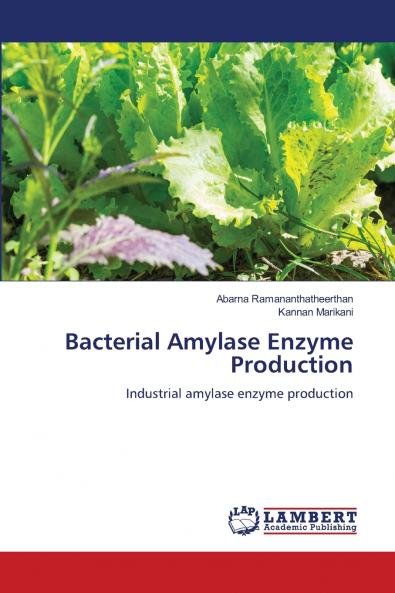 Bacterial Amylase Enzyme Production
