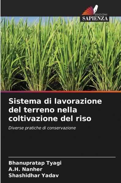 Sistema di lavorazione del terreno nella coltivazione del riso