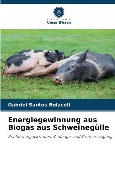 Energiegewinnung aus Biogas aus Schweinegülle