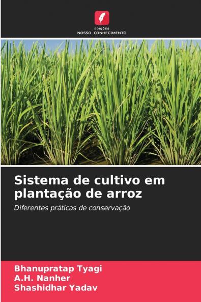 Sistema de cultivo em plantação de arroz