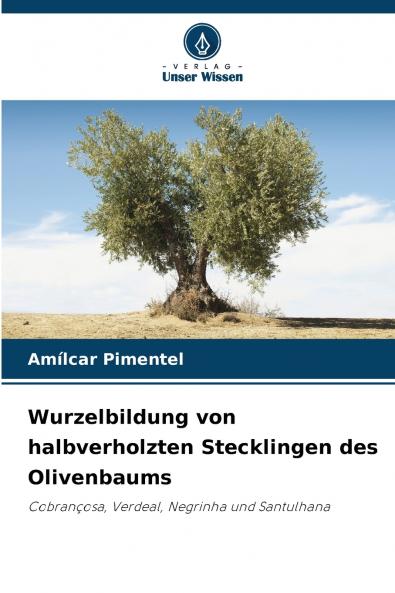 Wurzelbildung von halbverholzten Stecklingen des Olivenbaums