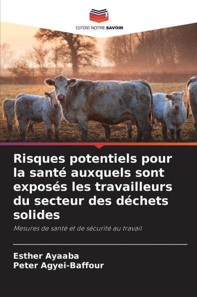 Risques potentiels pour la santé auxquels sont exposés les travailleurs du secteur des déchets solides